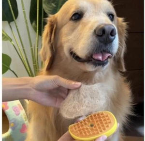 PET BRUSH - CEPILLO A VAPOR PARA MASCOTAS